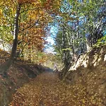 Appartamento Emyda' S Tropical At Goldsteig Trail
